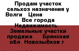 Продам участок сельхоз назначения у Волги › Цена ­ 3 000 000 - Все города Недвижимость » Земельные участки продажа   . Брянская обл.,Новозыбков г.
